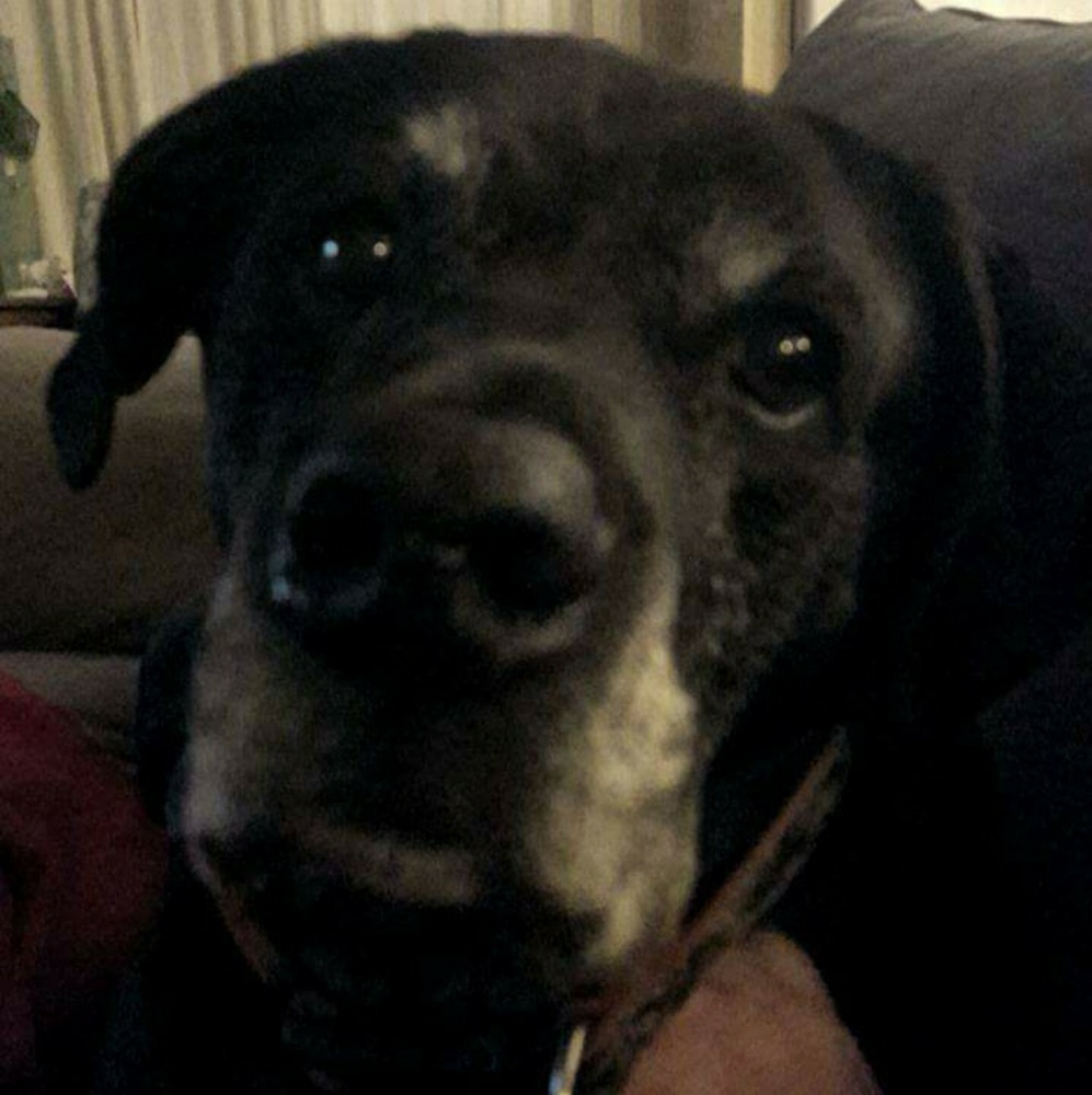 Meet your Posher, Rebecca